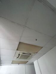 Grandlink Square (D14), Shop House #508198561